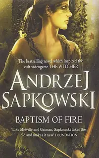 The Witcher Baptism of Fire