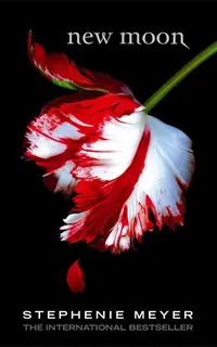 New Moon