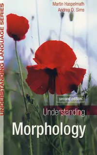 Understanding morphology
