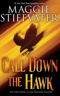 Call Down the Hawk (Dreamer 1)
