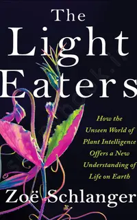 The Light Eaters
