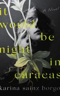 It Would Be Night in Caracas