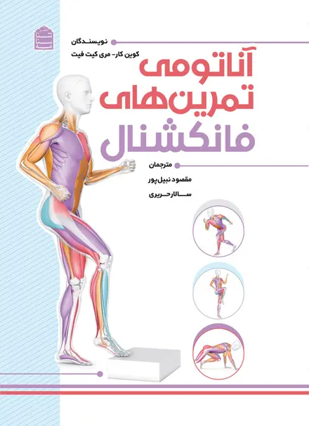 آناتومی تمرین‌های فانکشنال