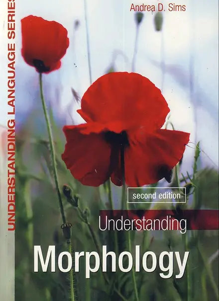 Understanding morphology