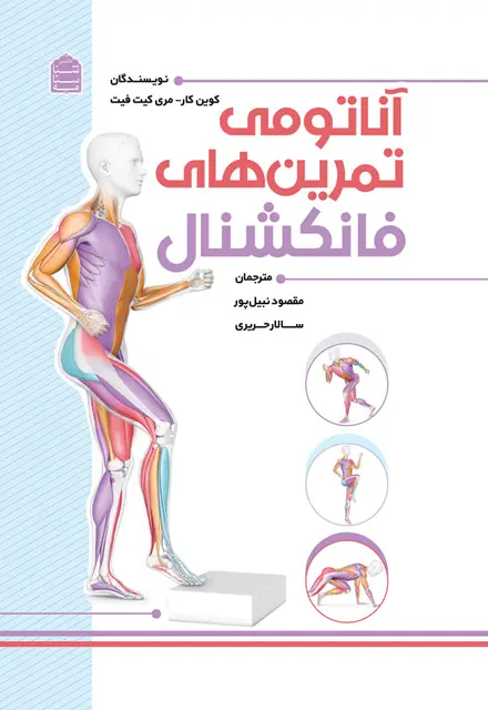 آناتومی تمرینهای فانکشنال - تصویر 1