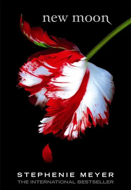 New Moon - تصویر 1