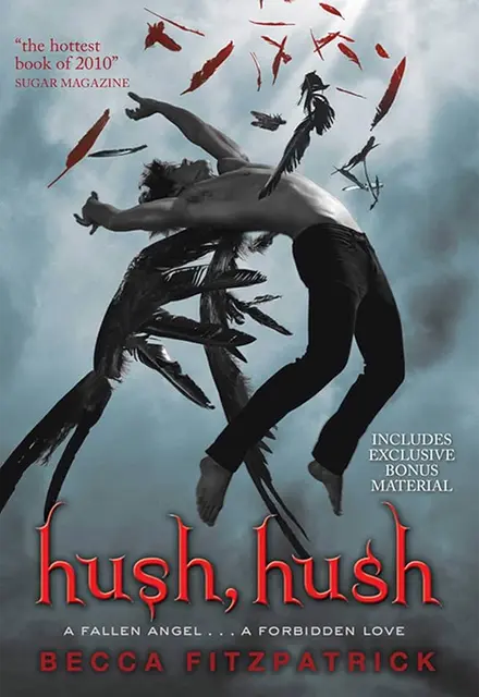Hush, Hush - تصویر 1