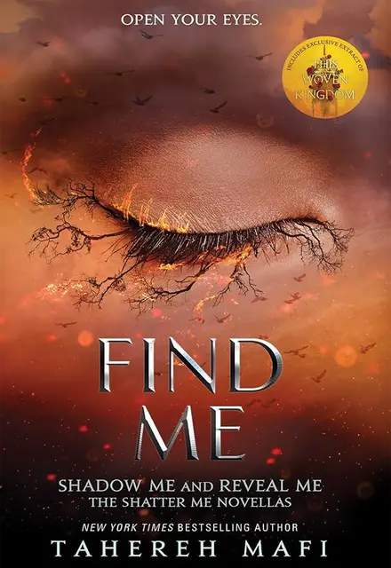 Find Me - تصویر 1