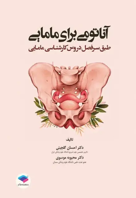 آناتومی برای مامایی دکتر گلچینی و موسوی - تصویر 1