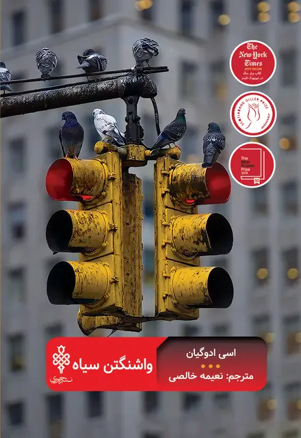 واشنگتون سیاه - تصویر 1