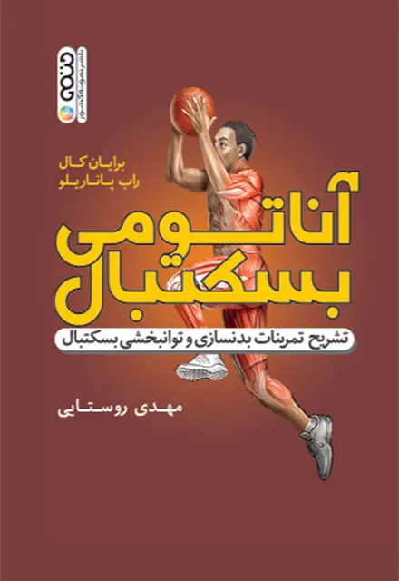 آناتومی بسکتبال - تصویر 1