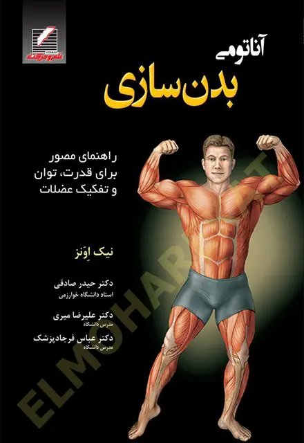 آناتومی بدنسازی - تصویر 1