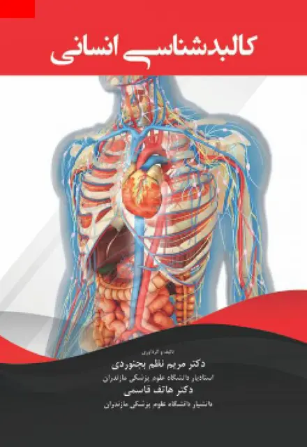 کالبد شناسی انسانی - تصویر 1
