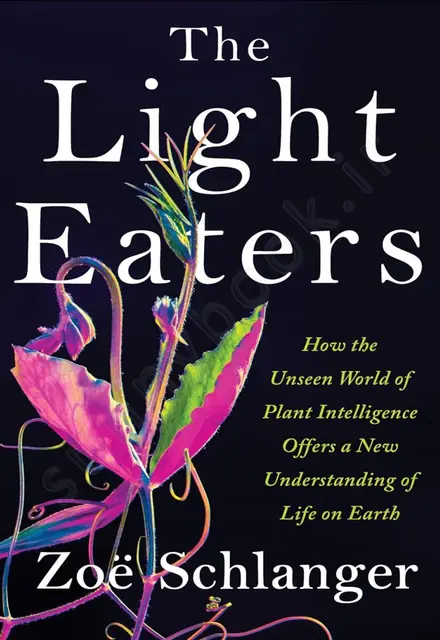 The Light Eaters - تصویر 1