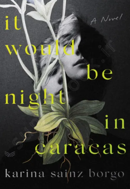 It Would Be Night in Caracas - تصویر 1