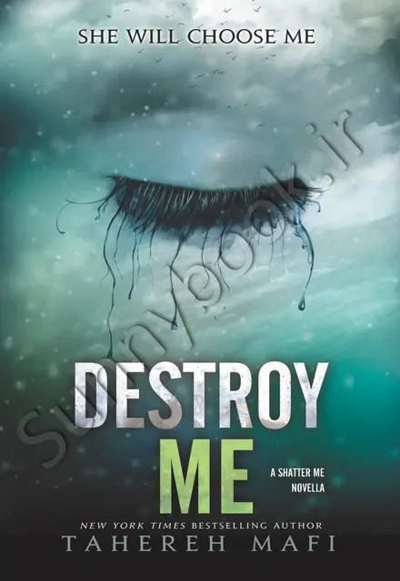 Destroy Me - تصویر 1