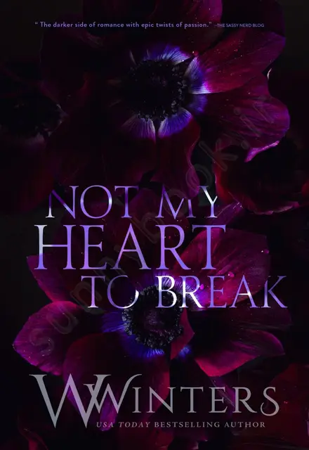 Not My Heart to Break - تصویر 1