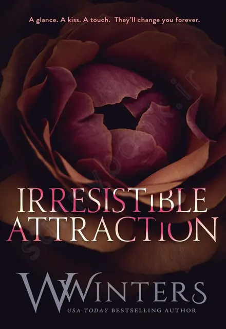 Irresistible Attraction - تصویر 1