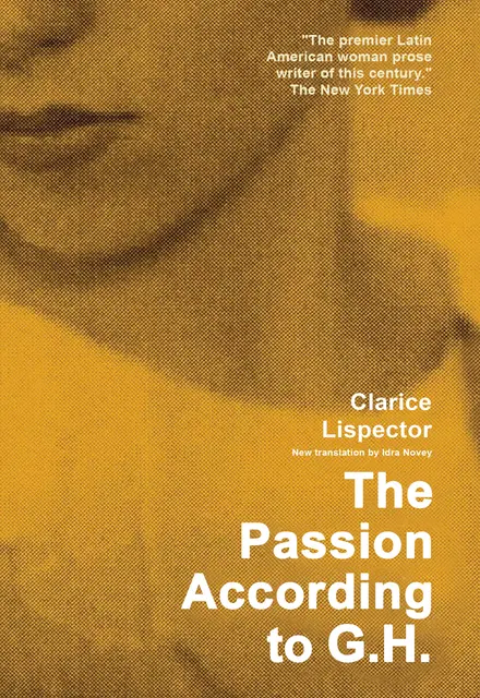 The Passion According to G.H - تصویر 1